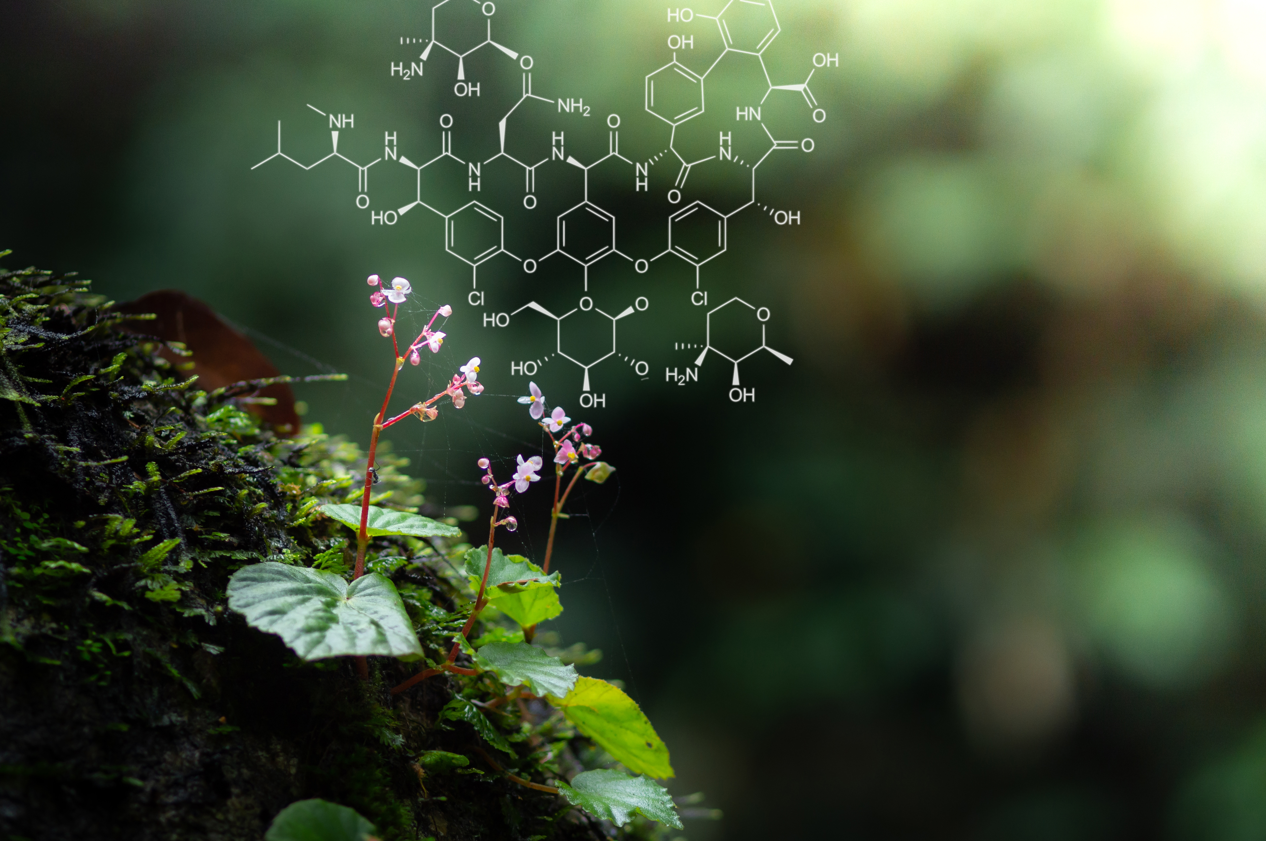 �λ�� ǥ��